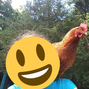 Shoulder Chicken