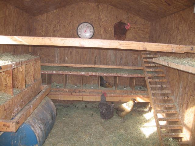 Zenbirders Solar Heated Solar Powered Chicken Coop | BackYard Chickens -  Learn How to Raise Chickens