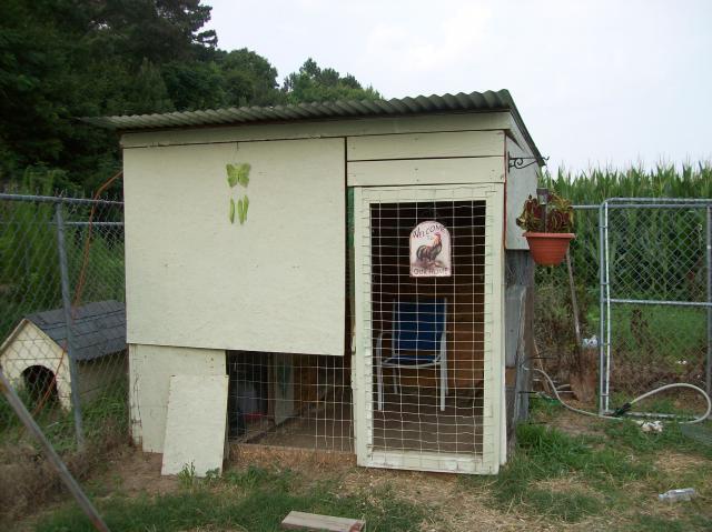 Need ideas on how to do chicken yard BackYard Chickens