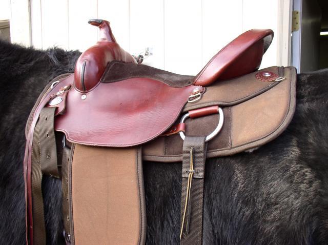 24846_saddle_fit_jan_30_003.jpg