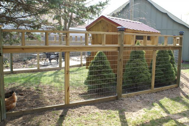 30659_chicken_yard_fence_gazebo_2010_073.jpg