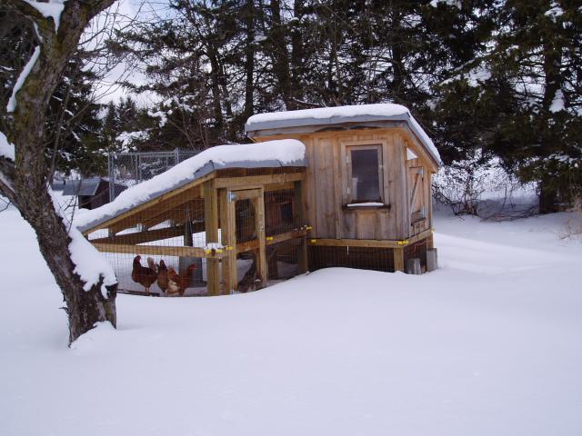 30865_chicken_coop_winter_005.jpg