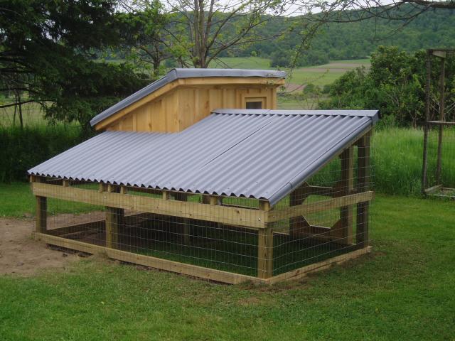 covered run... slanted roof or not? | BackYard Chickens - Learn How to  Raise Chickens