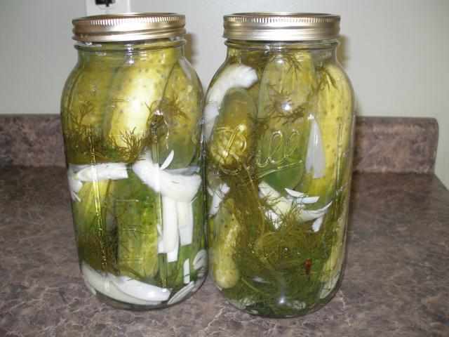 31358_dill_pickles_001.jpg