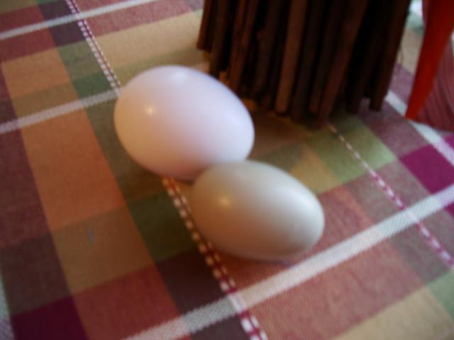 34260_chicken_egg_017.jpg