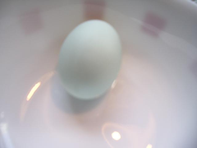 34260_first_blue_egg_from_blossom.jpg