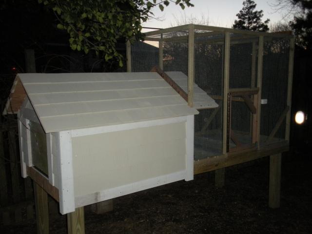 New Quail Coop 