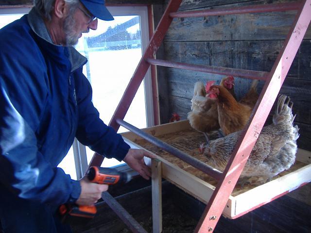 44824_girl_helping_with_poop_boards.jpg