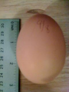 56059_hugeegg3.jpg