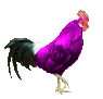 56682_chicken-clipart-picture4.gif