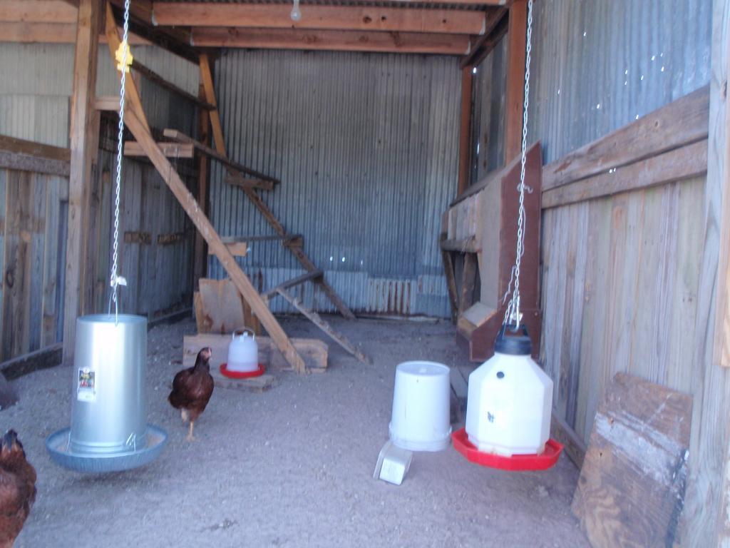 63768_inside_the_coop_001.jpg