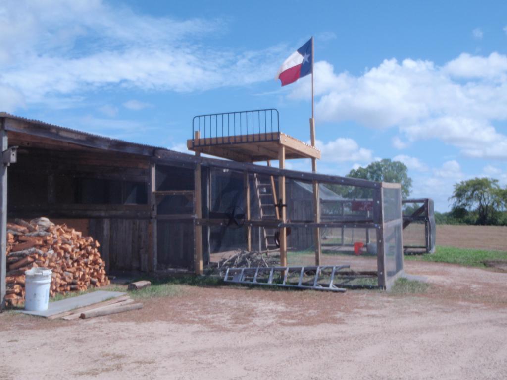 63768_texas_flag_006.jpg