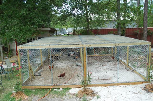 Chicken Run Ideas, would love to see your pics! | BackYard Chickens - Learn  How to Raise Chickens