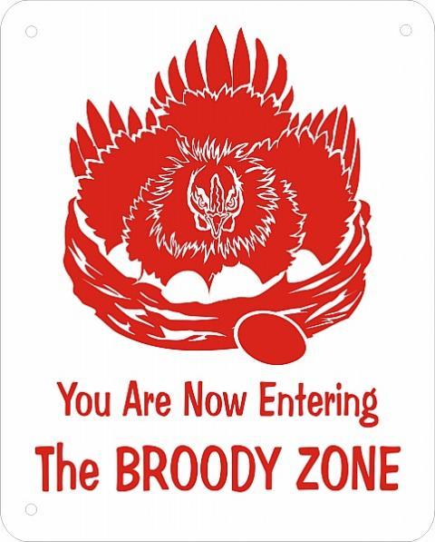 7205_broody_zone.jpg