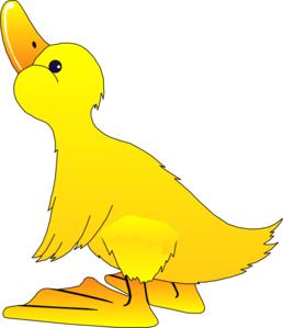 77358_young-duck-md.png