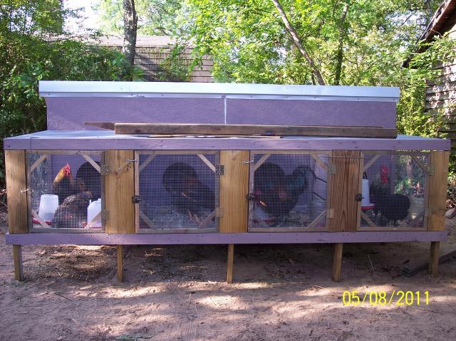 My Breeding Coop | BackYard Chickens - Learn How To Raise Chickens