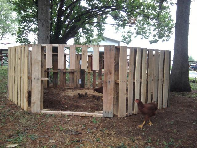 Duck House made from pallets - estimated $100 | BackYard ...