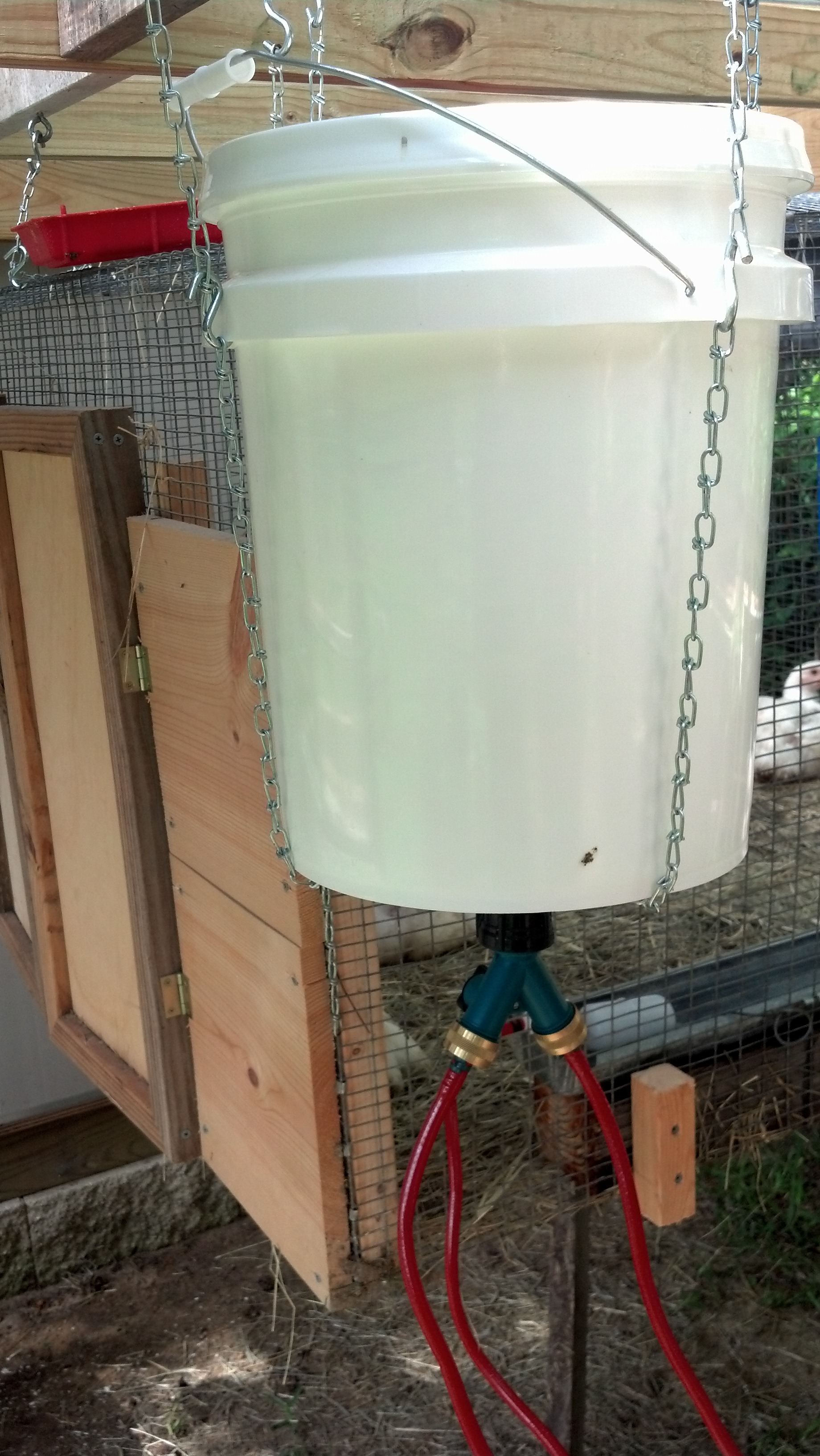 Bucket system hooked up to the 2 watering troughs | BackYard Chickens ...