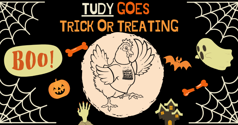 BYC's 2023 Spooktacular Halloween Hatch-Along—Tudy Goes Trick or Treating!