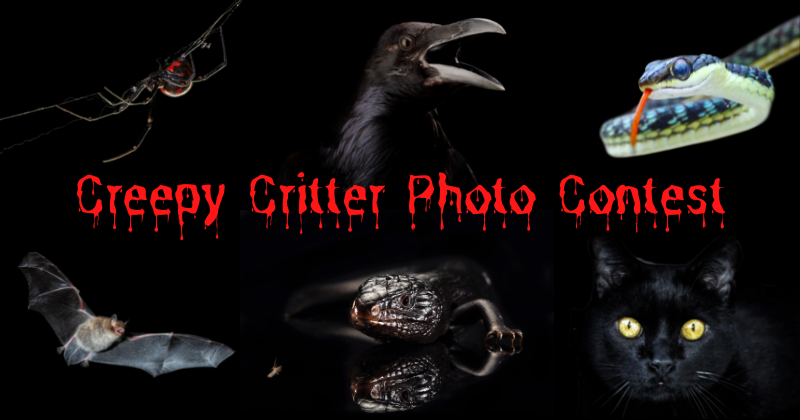creepy-critter-photo-contest-png.png