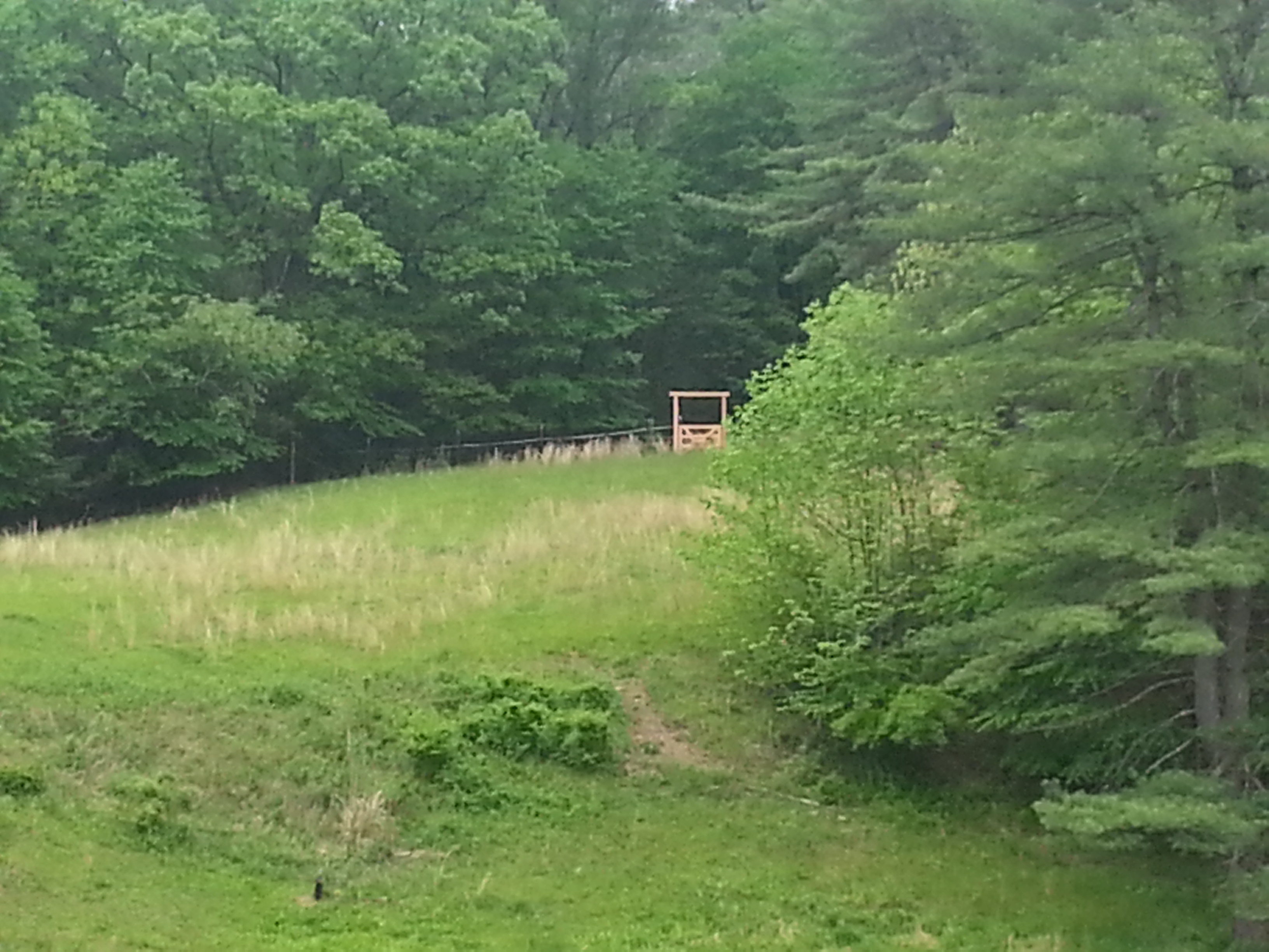 Gate at other end of pasture. Property goes beyond that
