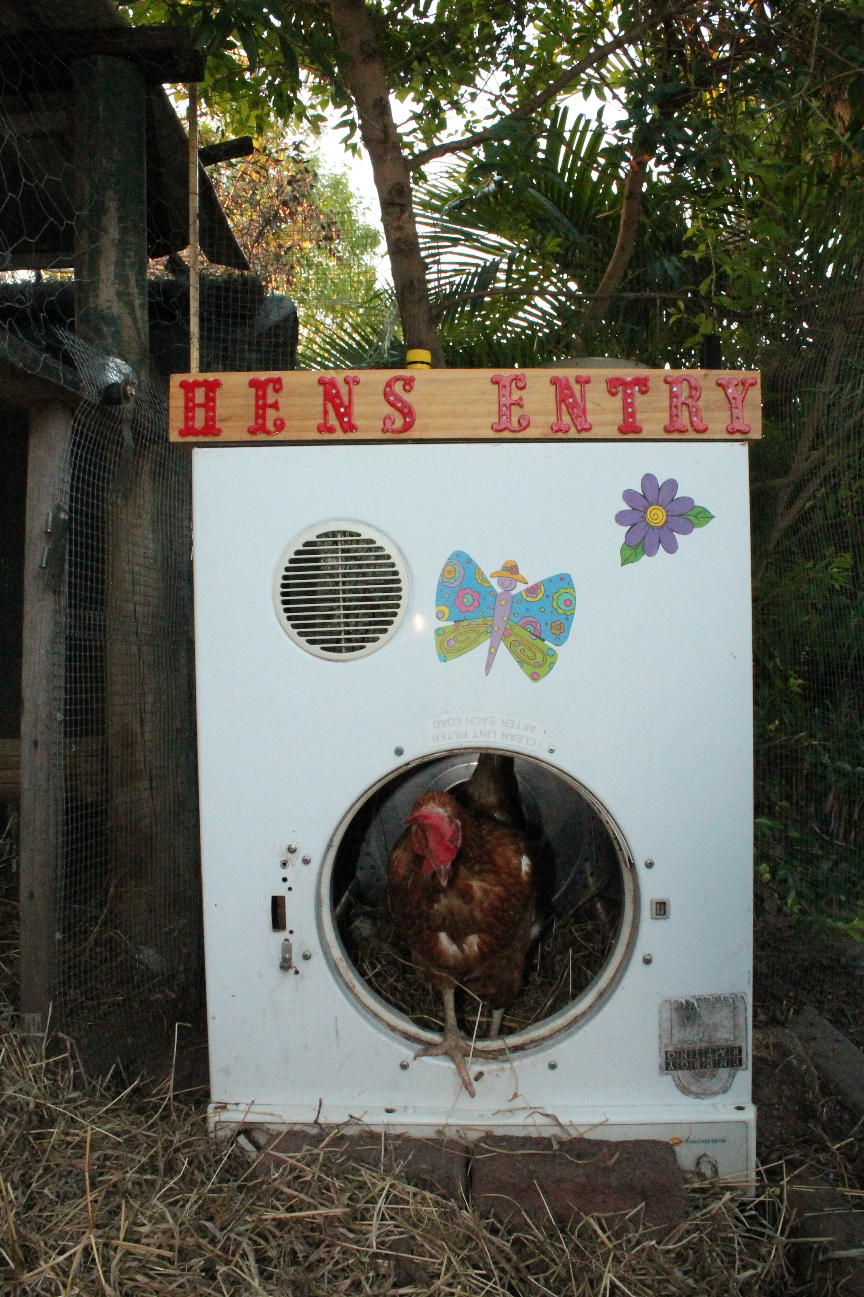 Hens Entry
