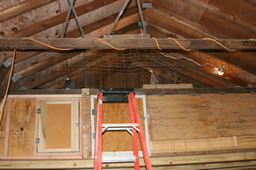 Inside of barn showing guinea loft.