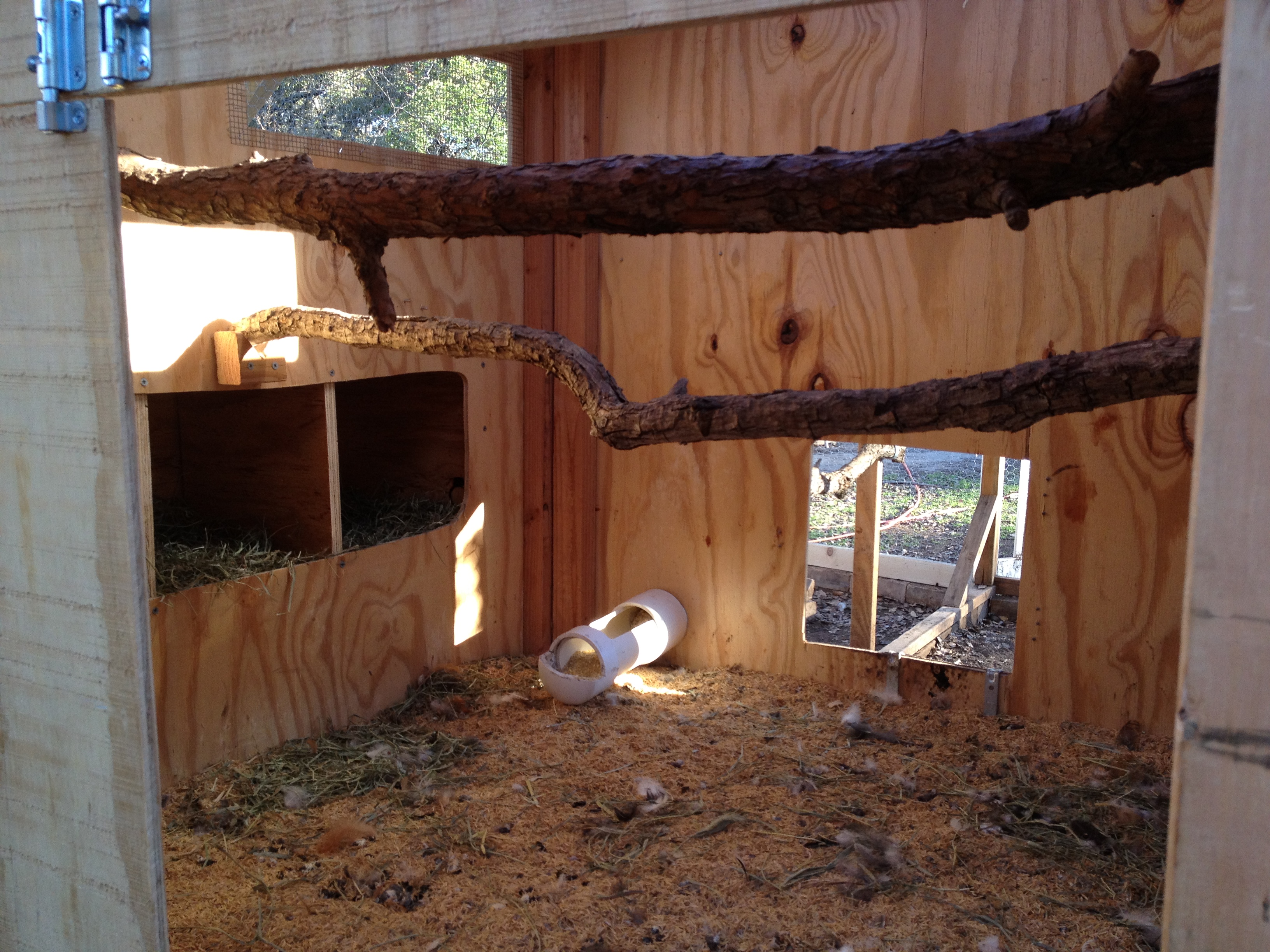Inside the coop showing feeder, roosts and nestboxes