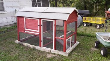 My Tractor Supply coop. We will be adding on a yard soon.