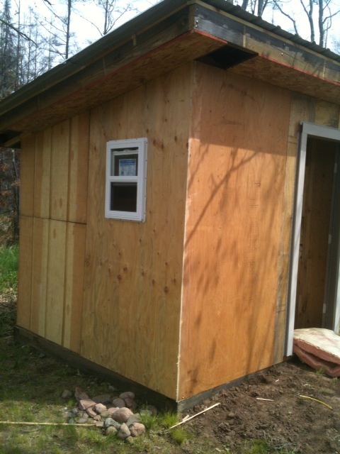 Outside of coop.  8 x 8 with a tin roof and then we will put siding on it to match the house.