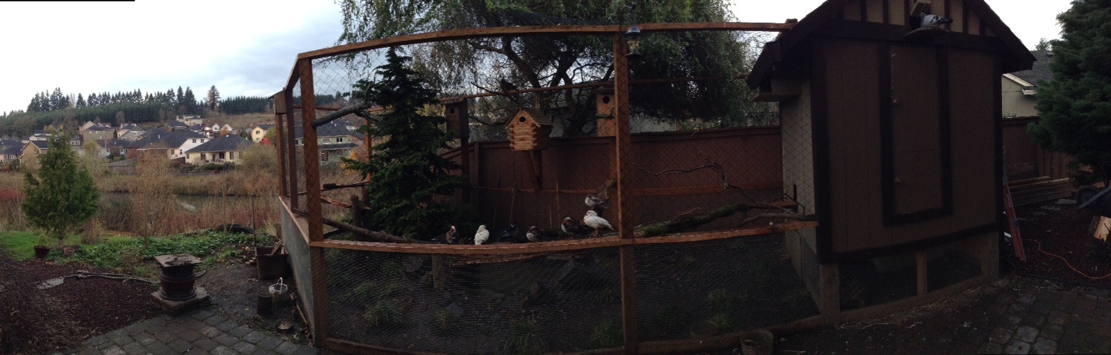 Panorama photo of aviary and coop