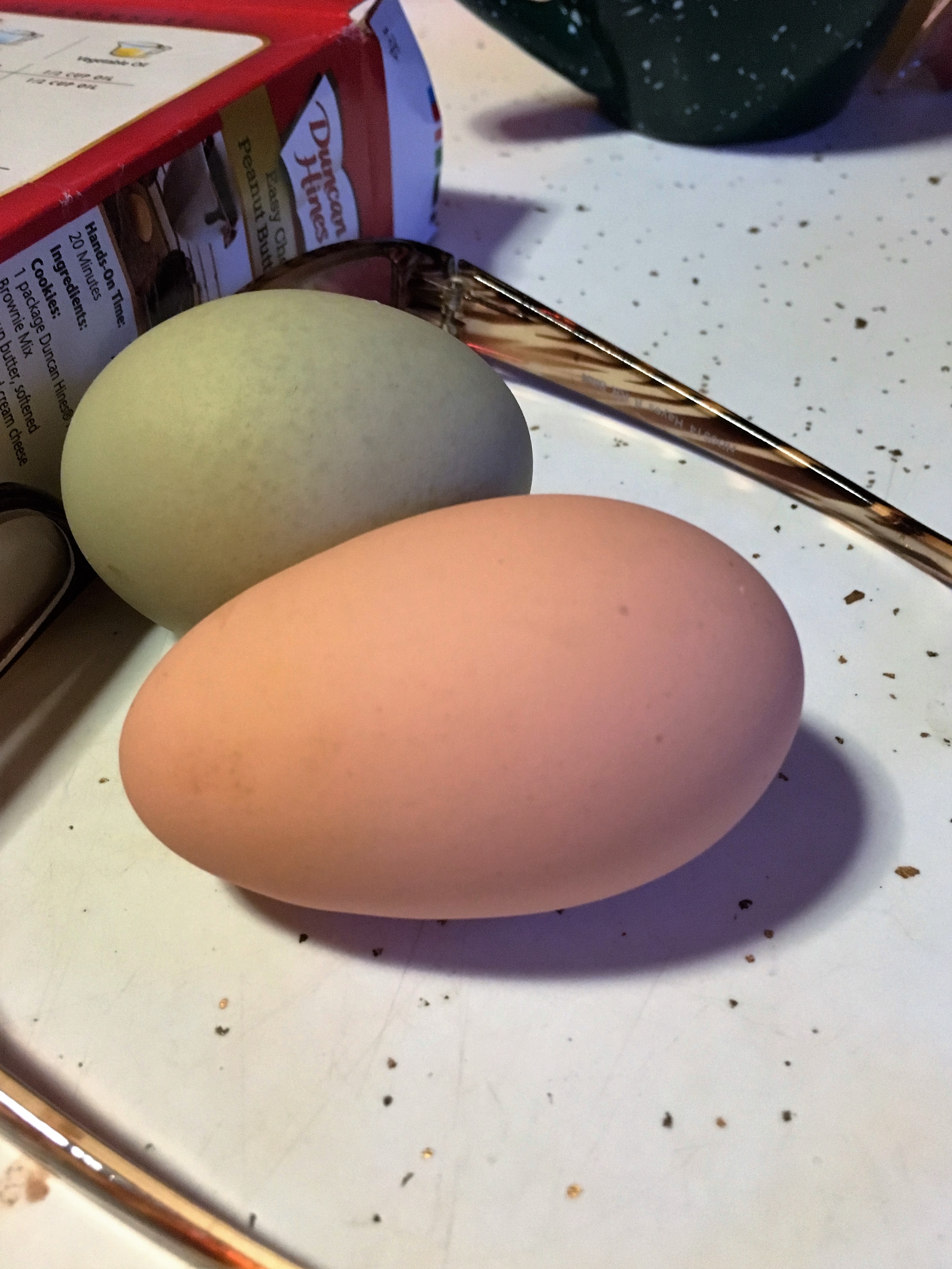 Petunia laid the peach colored egg......that's using your head, keep them long and narrow.....doesn't hurt as much (I hope, anyway.)
