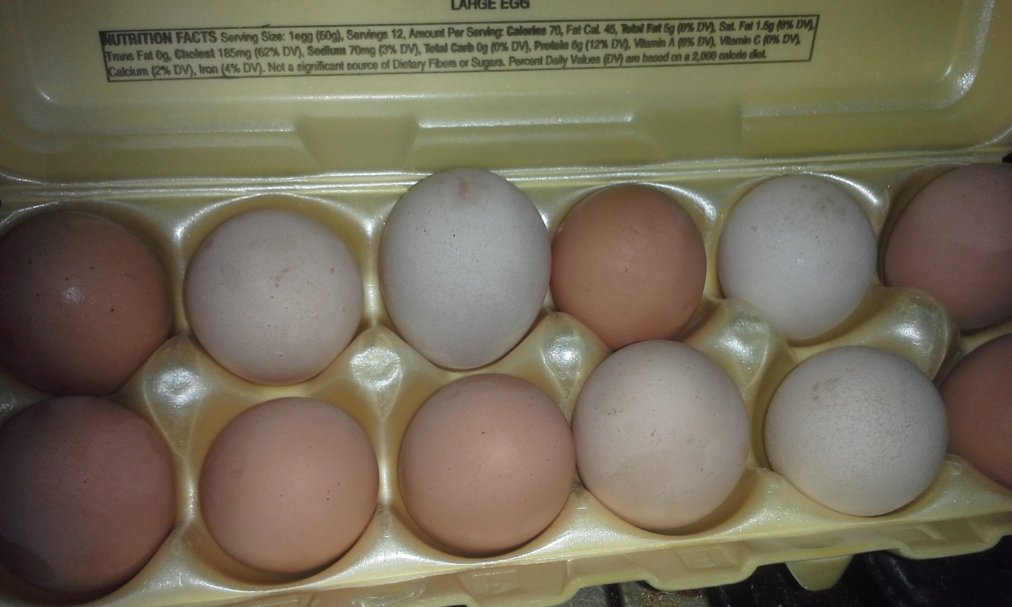 These are all from 3 laying hens, I think it took less than a week to get these?  Pretty faithful layers.  RIR and red star, and the cornish just joined recently
