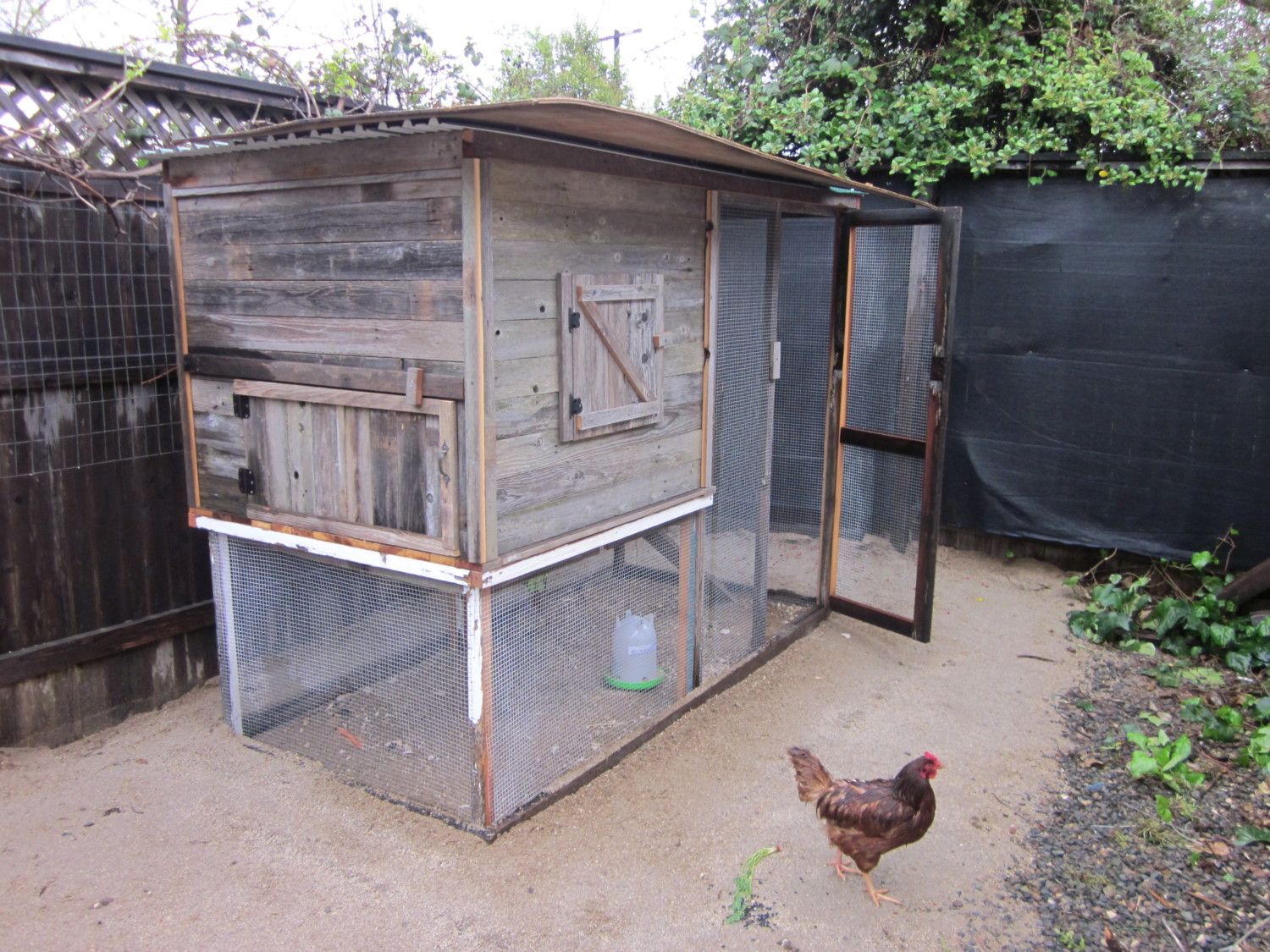 How exactly do you bury hardware cloth? | BackYard Chickens - Learn How to  Raise Chickens
