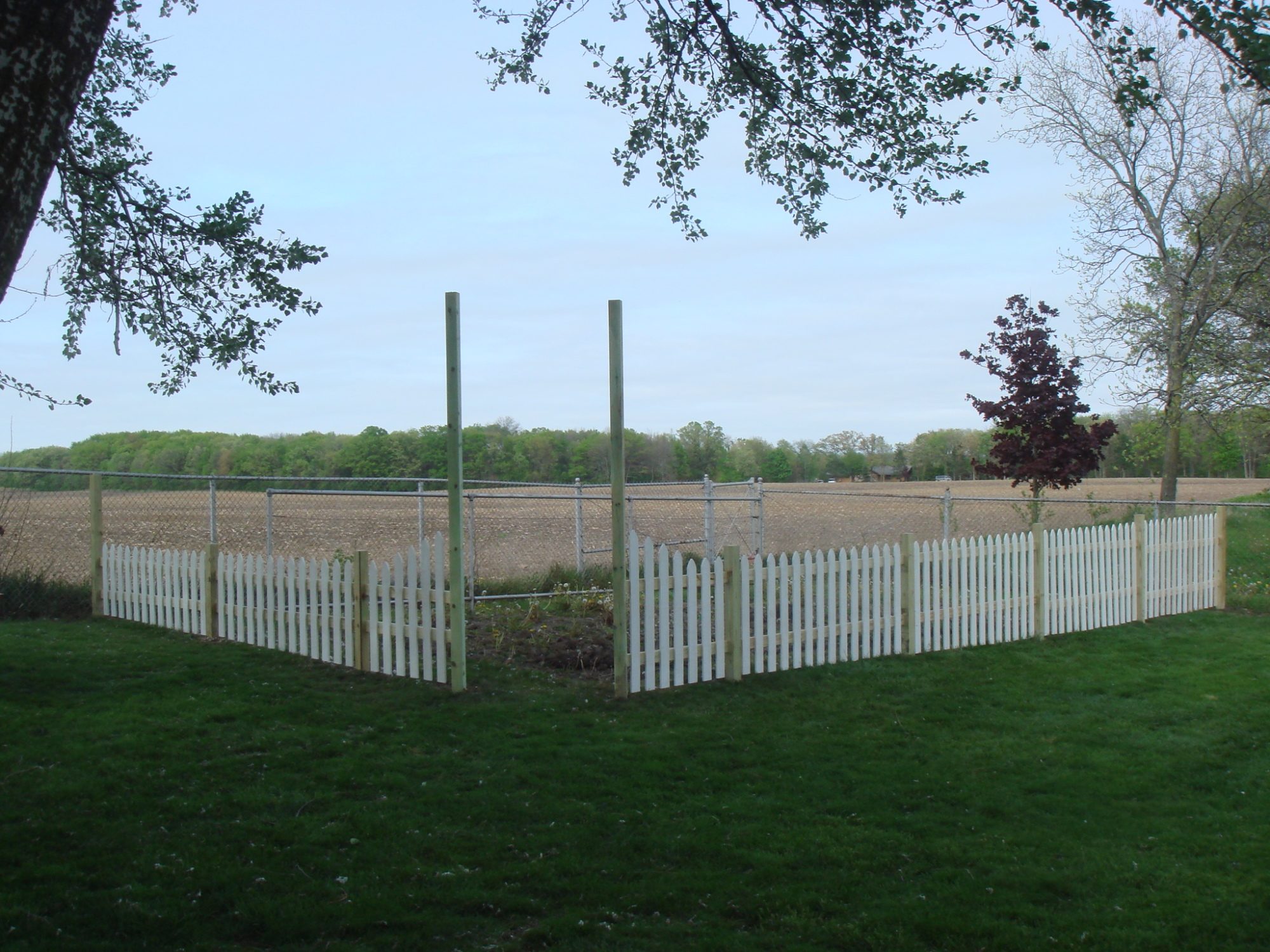 New Fence To Keep The Chickens Out Backyard Chickens Learn