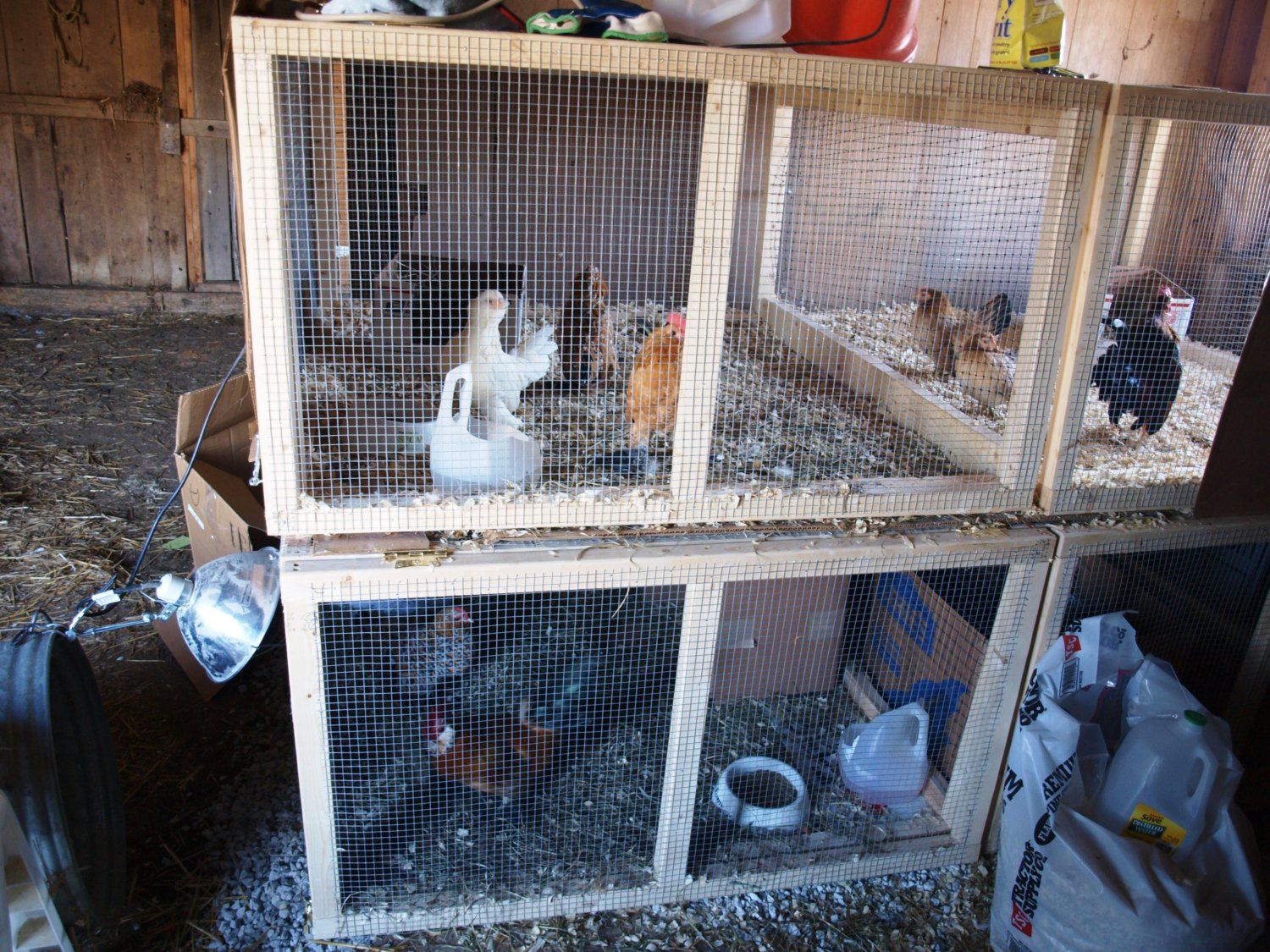 Breeding pen question