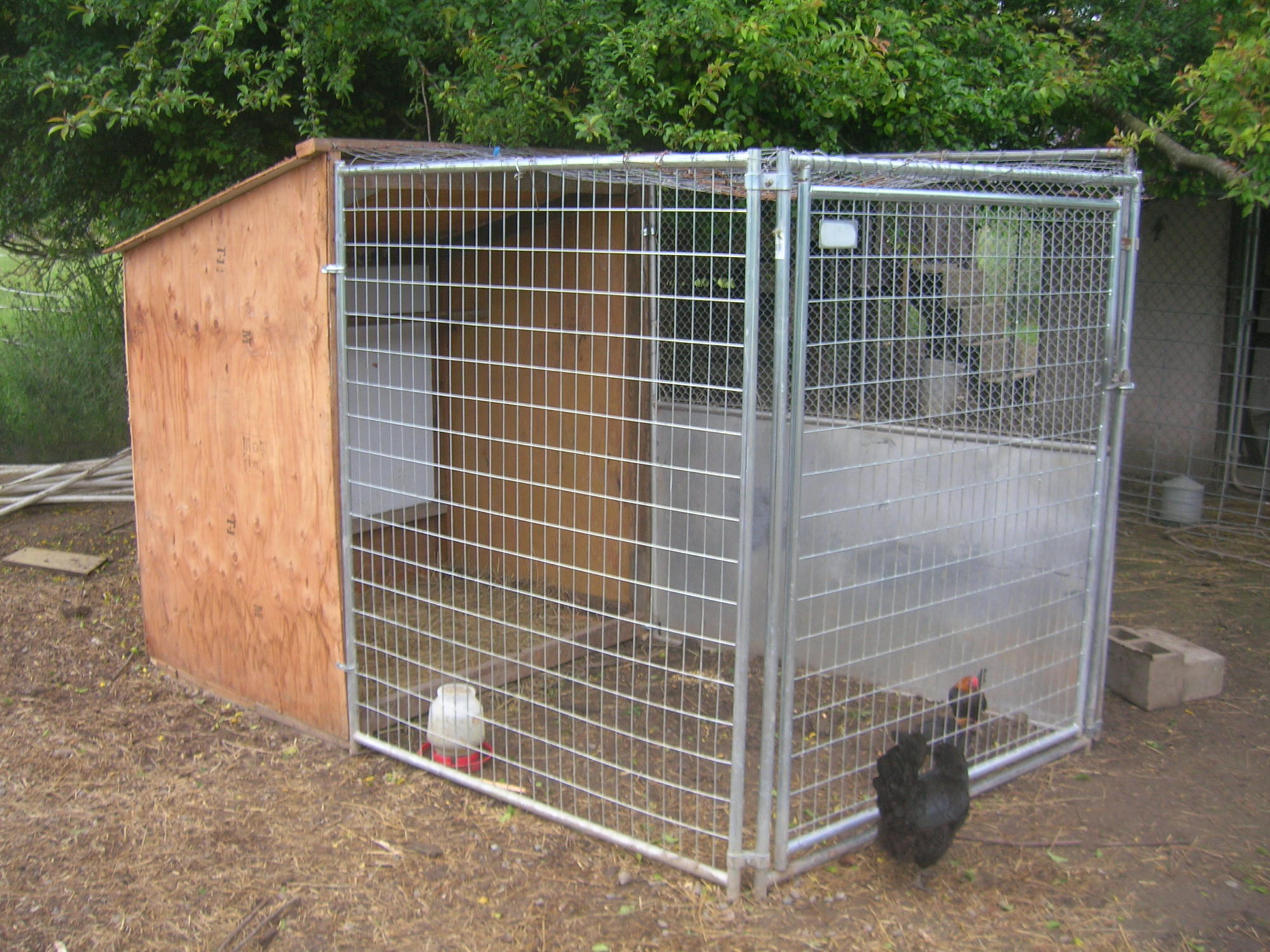 My breeding pen attempt... | BackYard Chickens - Learn How to Raise Chickens