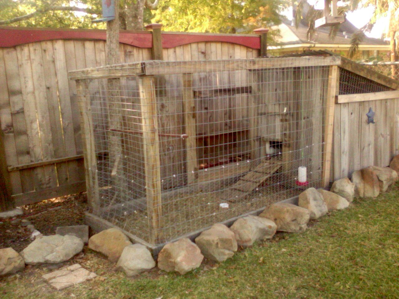 PLEASE help a newbie get a cheap coop/plans or ANY OTHER WAY TO KEEP A  CHICKEN IN A SAFE CHEAP ENV. | BackYard Chickens - Learn How to Raise  Chickens