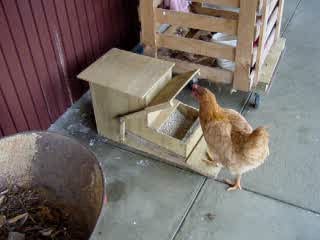 Automatic Wood Chicken Feeder | BackYard Chickens - Learn How to Raise  Chickens