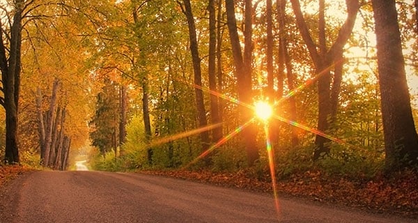 fall-equinox-2018-horoscope_20180921_600x320.jpg