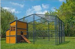 Producer's Pride Defender Chicken Coop | BackYard Chickens - Learn How to  Raise Chickens
