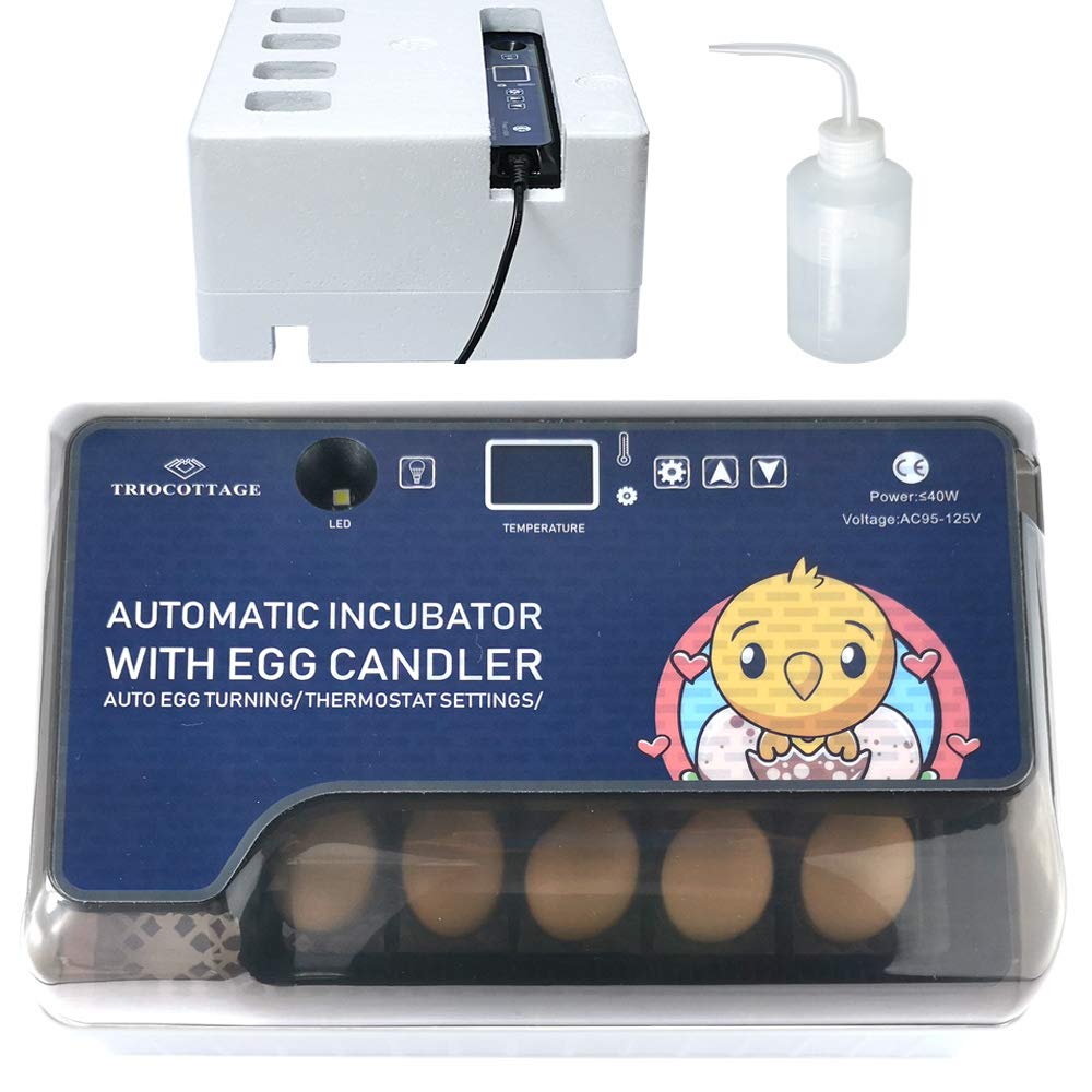 Triocottage Egg incubator | BackYard Chickens - Learn How to Raise Chickens